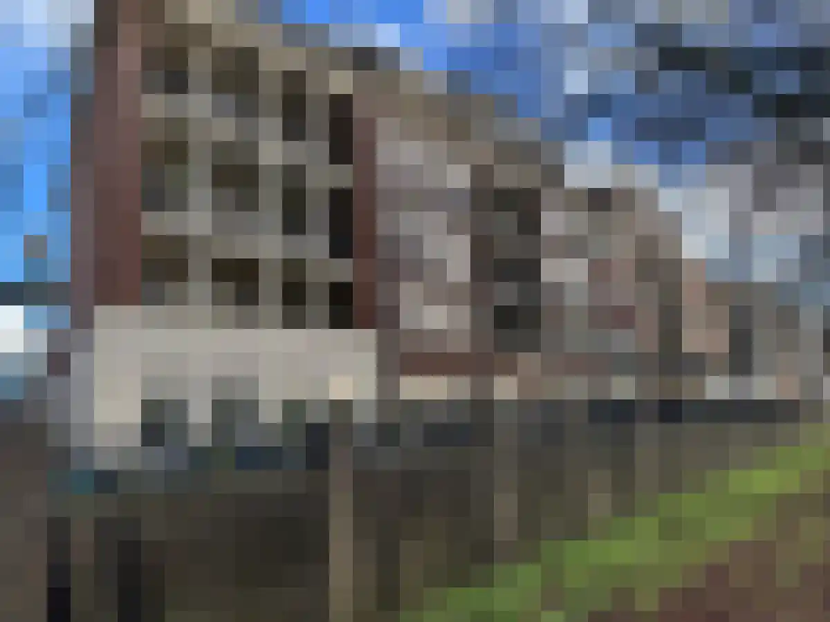 Zwaanswal 87 Gorinchem