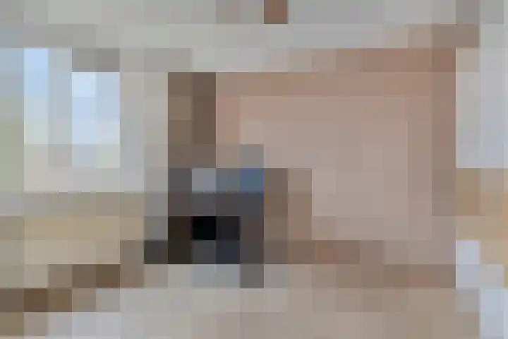 Zwaluw 12 Boxmeer thumbnail 14
