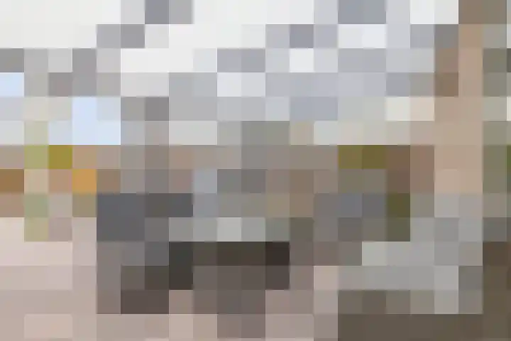 Zwaluw 12 Boxmeer thumbnail 17
