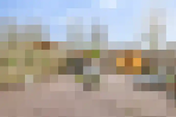 Zwaluw 12 Boxmeer thumbnail 18