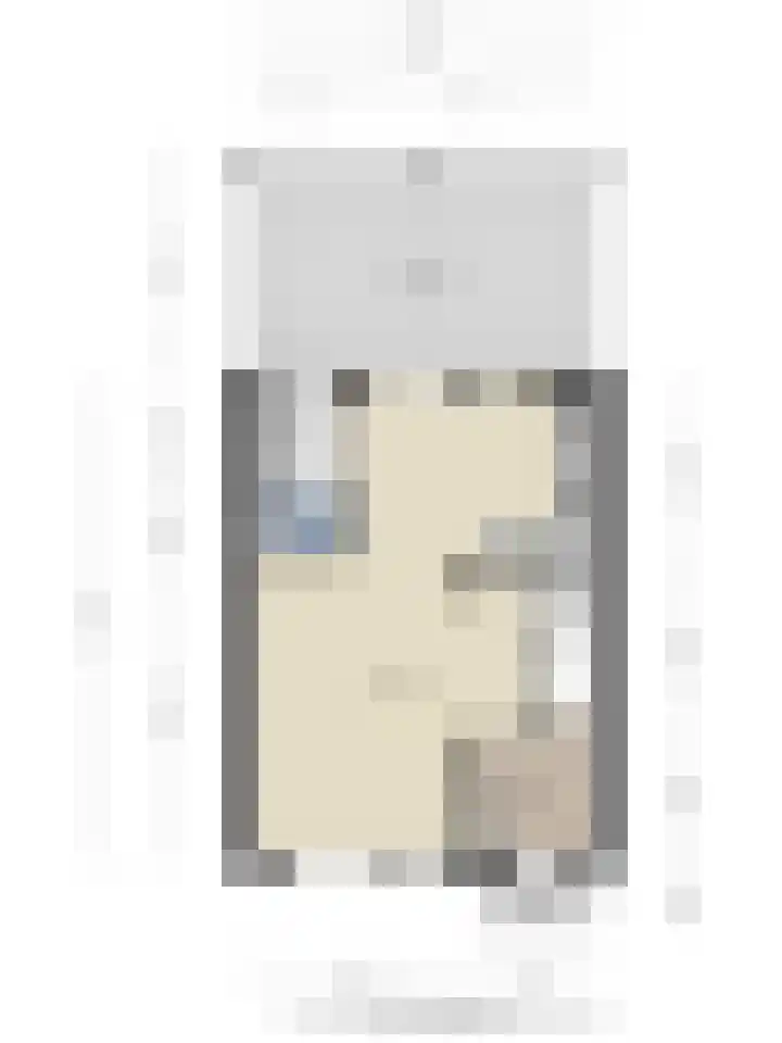 Zwaluw 12 Boxmeer thumbnail 25