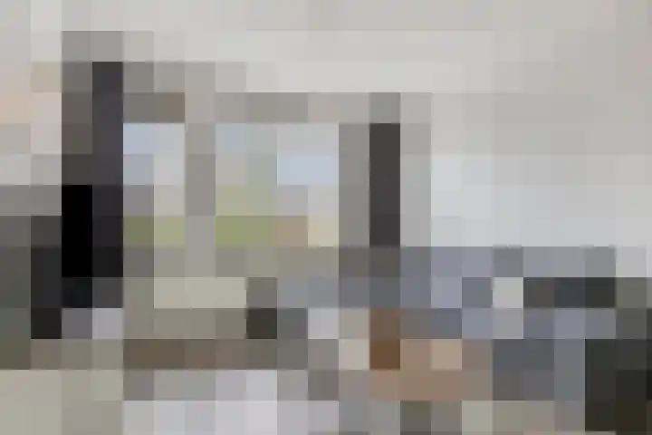 Zwaluw 12 Boxmeer thumbnail 5