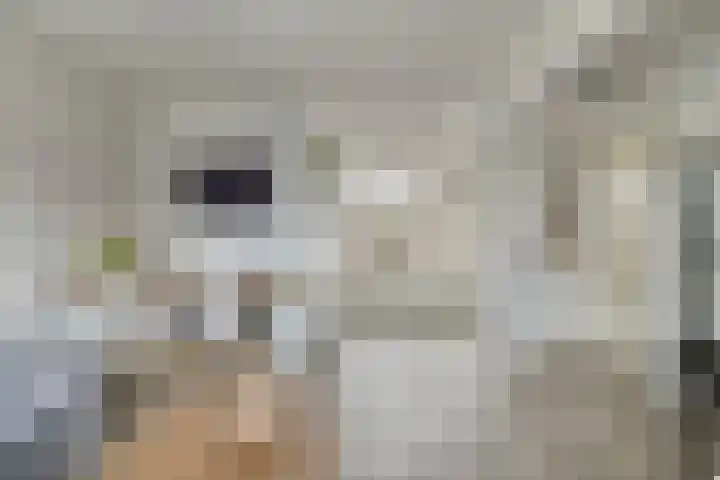 Zwaluw 12 Boxmeer thumbnail 6