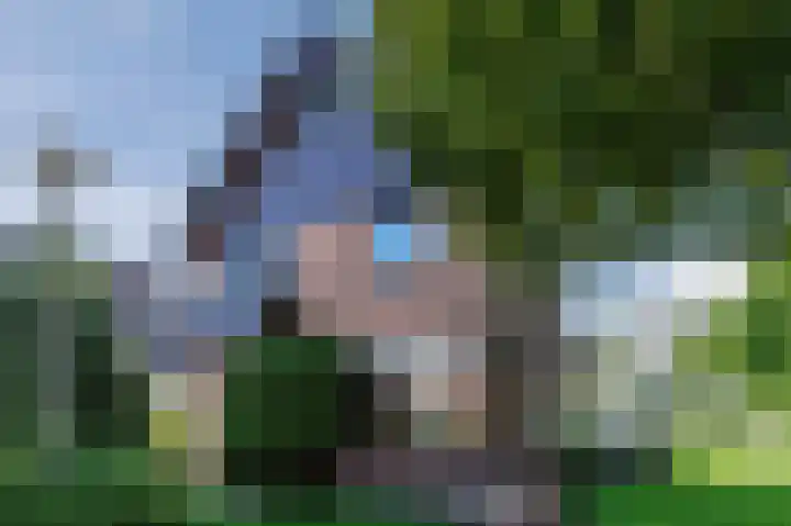 Zwaluw 18 Bodegraven