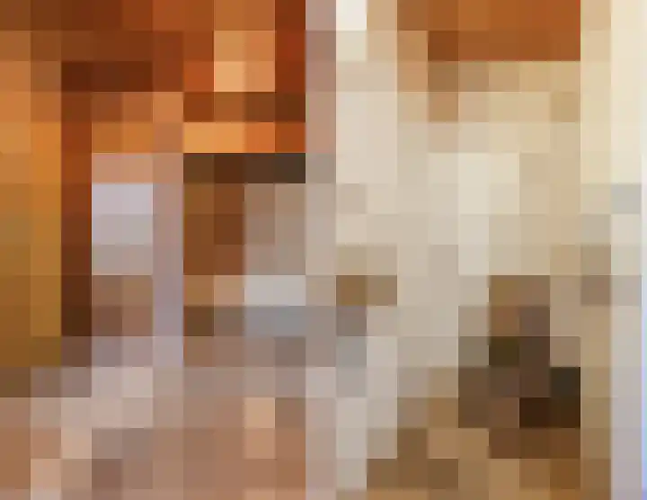 Zwaluw 18 Bodegraven thumbnail 11