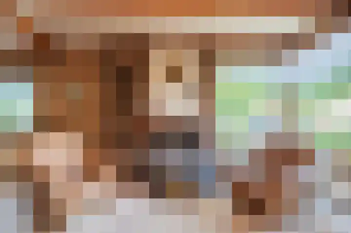 Zwaluw 18 Bodegraven thumbnail 14