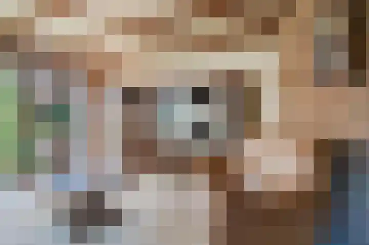 Zwaluw 18 Bodegraven thumbnail 16