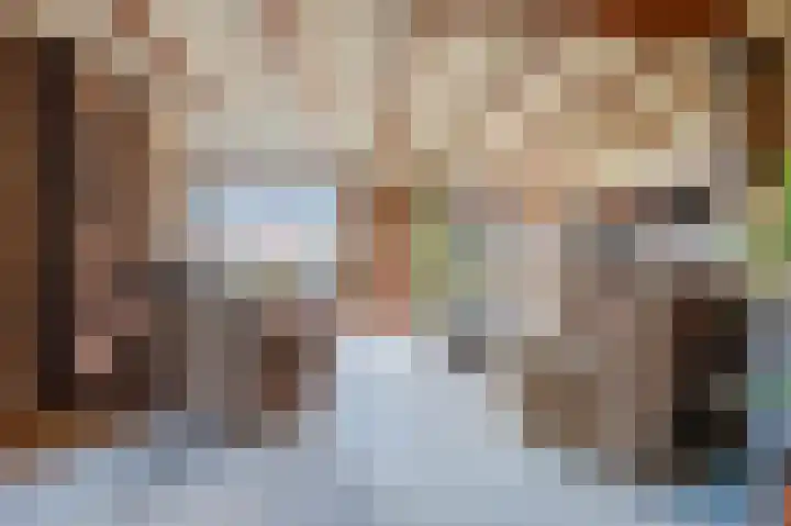 Zwaluw 18 Bodegraven foto 2