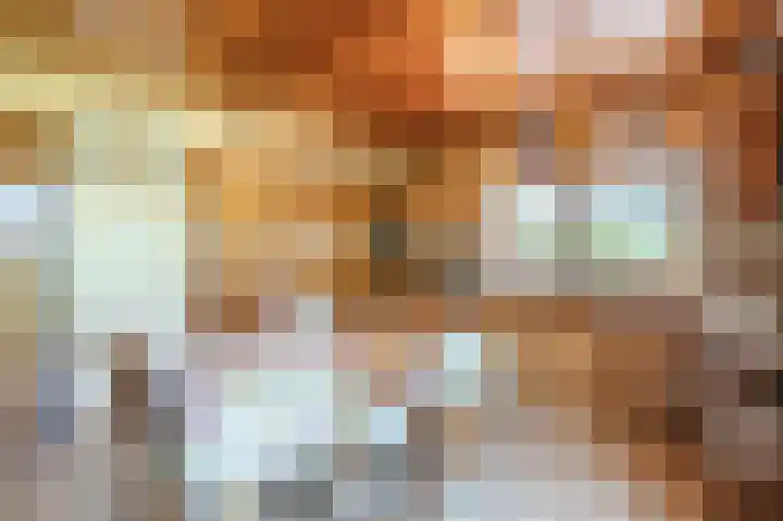 Zwaluw 18 Bodegraven thumbnail 21