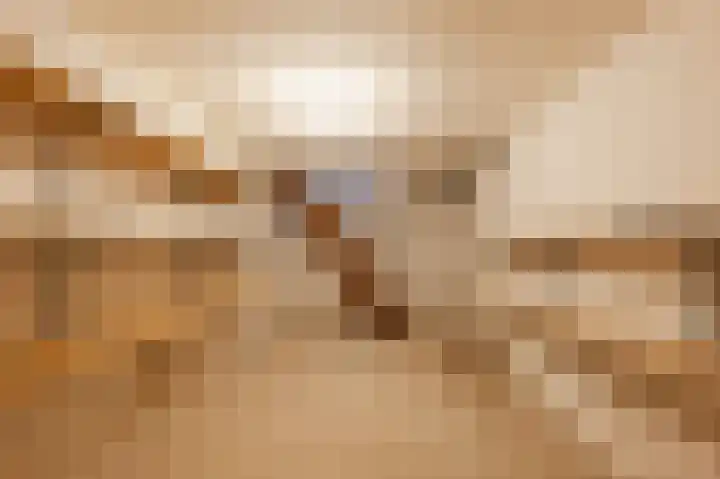 Zwaluw 18 Bodegraven thumbnail 22