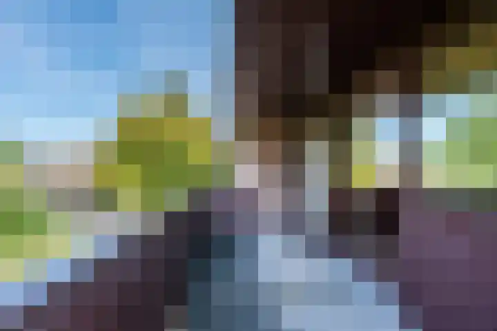 Zwaluw 18 Bodegraven thumbnail 33