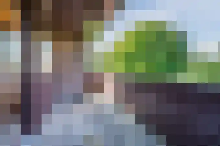 Zwaluw 18 Bodegraven thumbnail 34