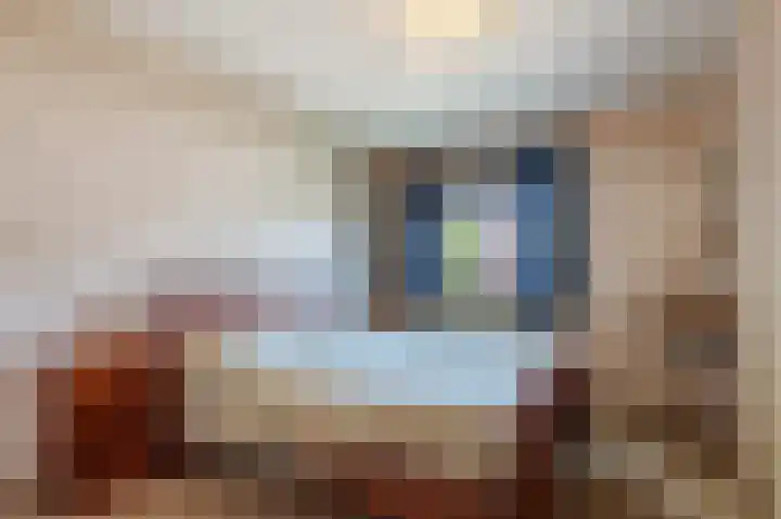 Zwaluw 18 Bodegraven thumbnail 38