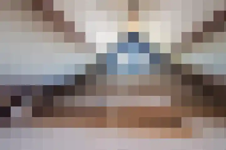 Zwaluw 18 Bodegraven thumbnail 47