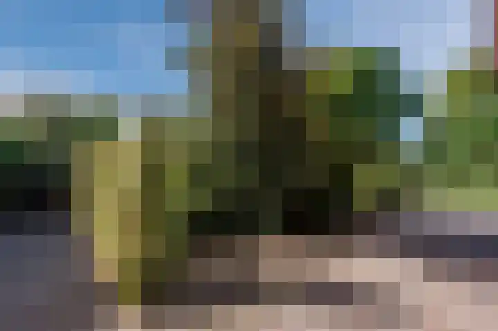 Zwaluw 18 Bodegraven thumbnail 53