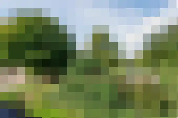 Zwaluw 18 Bodegraven thumbnail 54