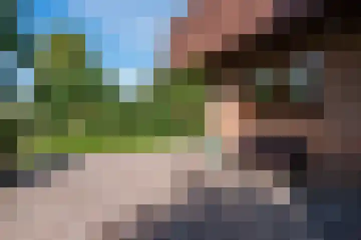 Zwaluw 18 Bodegraven thumbnail 55