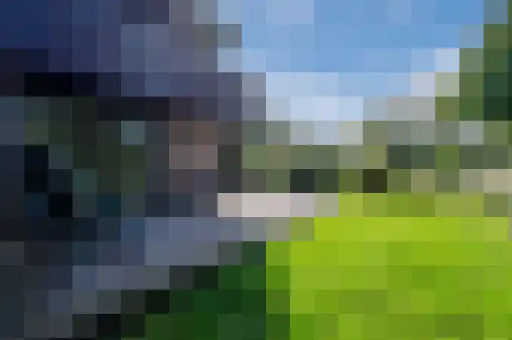 Zwaluw 18 Bodegraven thumbnail 57