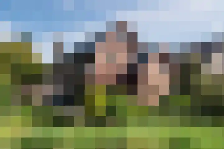 Zwaluw 18 Bodegraven thumbnail 58