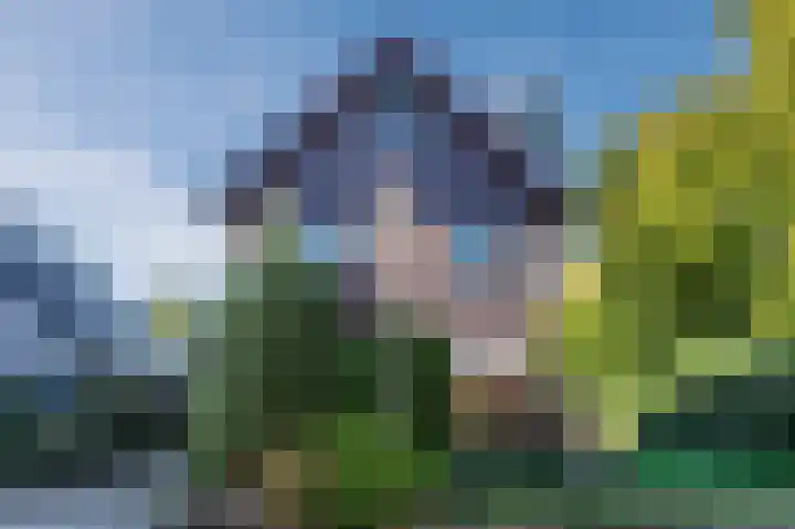 Zwaluw 18 Bodegraven thumbnail 59