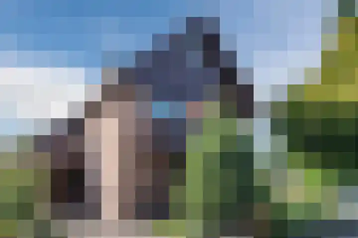 Zwaluw 18 Bodegraven thumbnail 6
