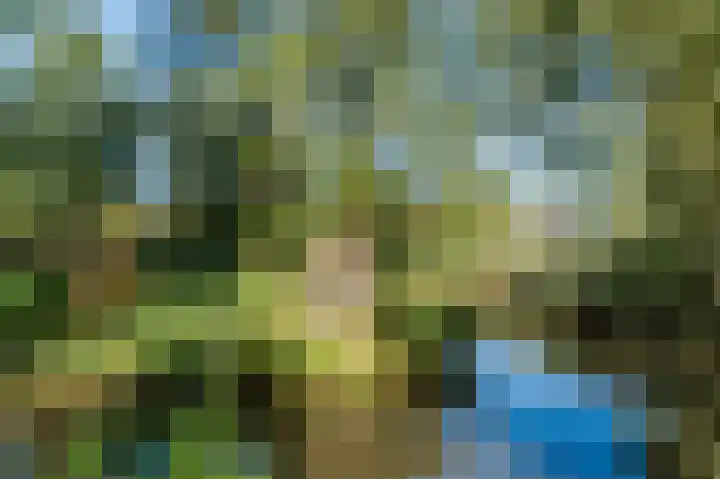 Zwaluw 18 Bodegraven thumbnail 61