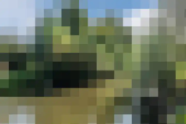 Zwaluw 18 Bodegraven thumbnail 62