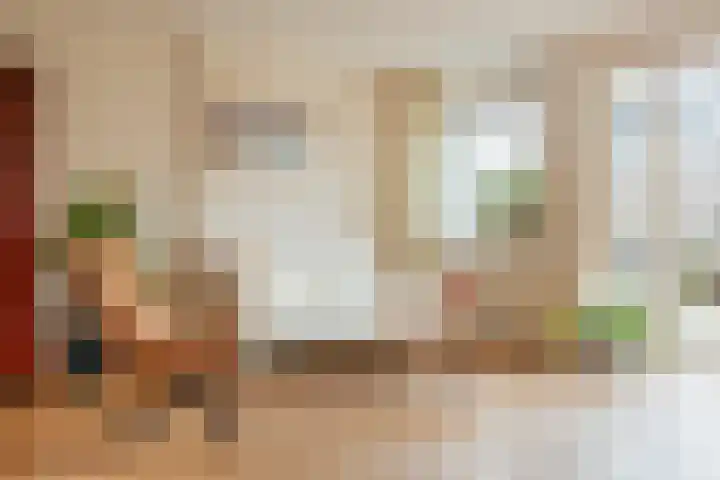 Zwaluw 20 Heemskerk thumbnail 10
