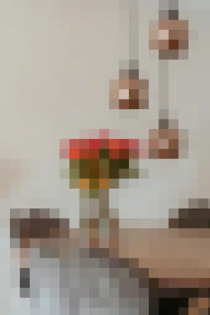 Zwaluw 20 Heemskerk thumbnail 17