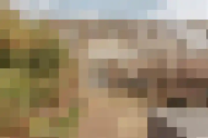 Zwaluw 20 Heemskerk thumbnail 27