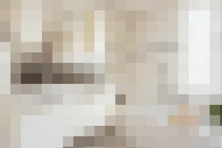 Zwaluw 20 Heemskerk thumbnail 38