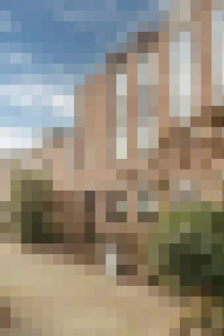 Zwaluw 20 Heemskerk thumbnail 4