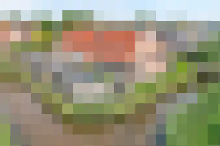 Zwaluw 35 Raalte