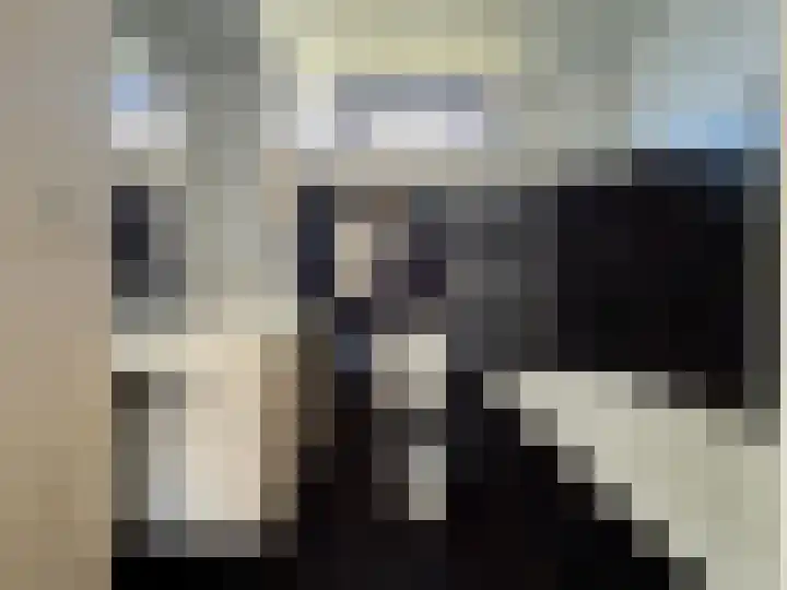 Zwaluw 92 Ridderkerk thumbnail 17