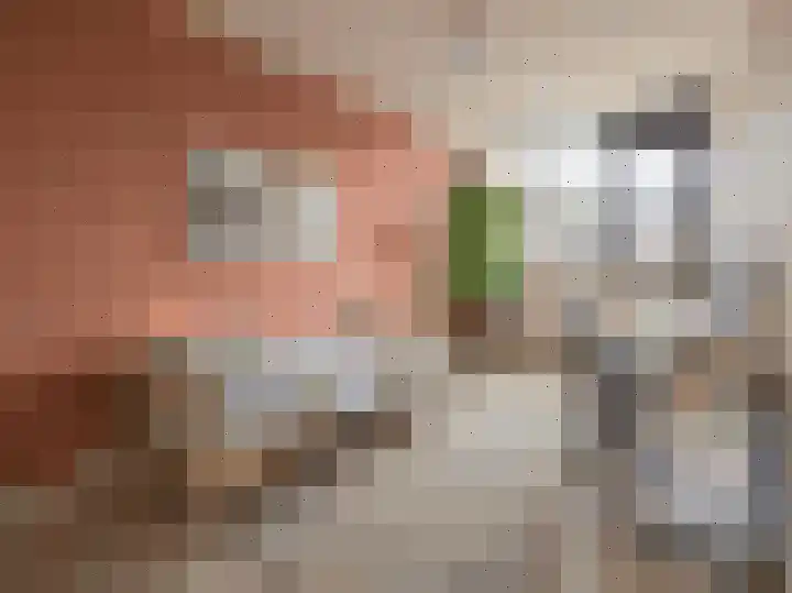 Zwaluw 92 Ridderkerk thumbnail 20