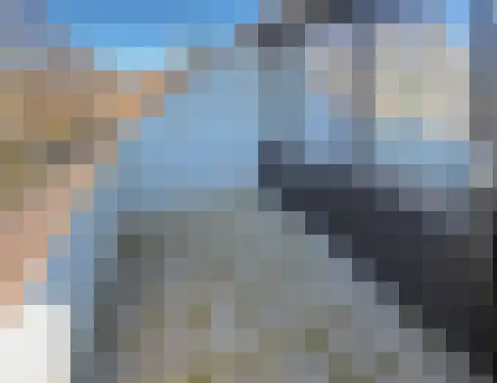 Zwaluw 92 Ridderkerk thumbnail 29