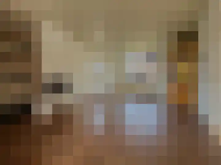 Zwaluw 92 Ridderkerk thumbnail 8