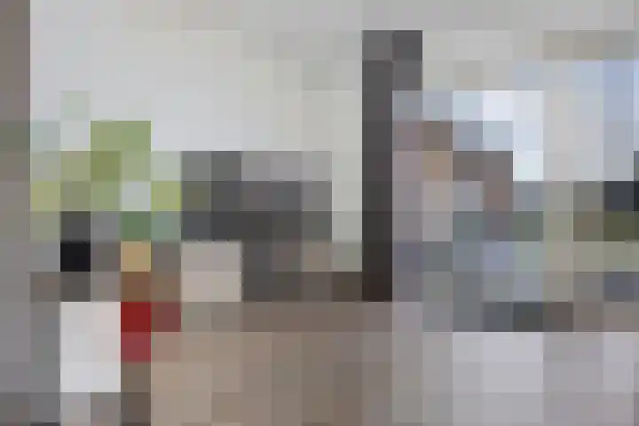 Zwaluwenveld 24 Emmen thumbnail 10