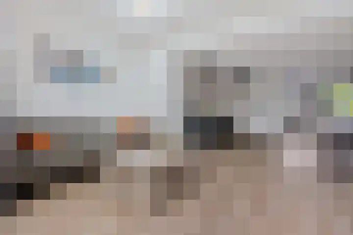 Zwaluwenveld 24 Emmen thumbnail 12