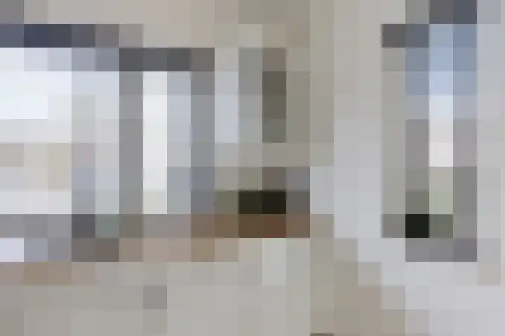Zwaluwenveld 24 Emmen thumbnail 14