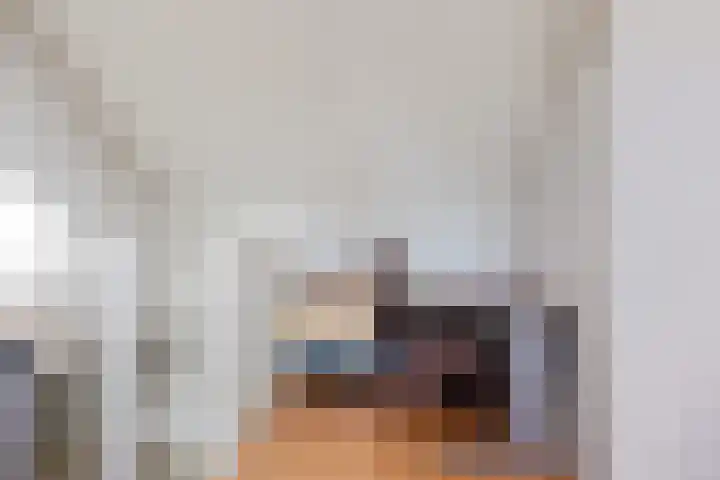 Zwaluwenveld 24 Emmen thumbnail 26