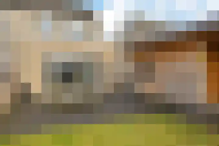 Zwaluwenveld 24 Emmen thumbnail 30