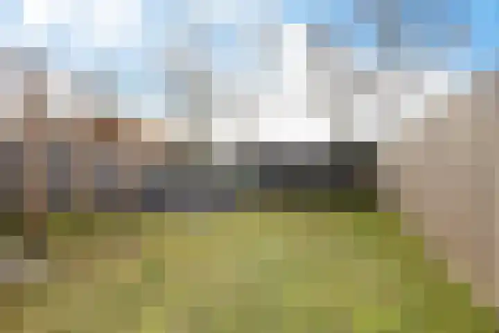 Zwaluwenveld 24 Emmen thumbnail 32