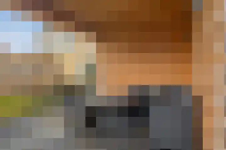 Zwaluwenveld 24 Emmen thumbnail 33