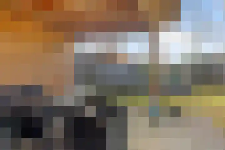 Zwaluwenveld 24 Emmen thumbnail 34