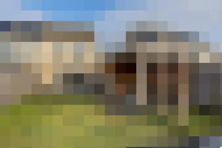 Zwaluwenveld 24 Emmen thumbnail 35