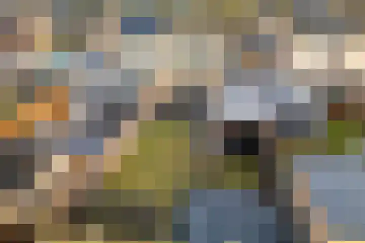 Zwaluwenveld 24 Emmen thumbnail 36