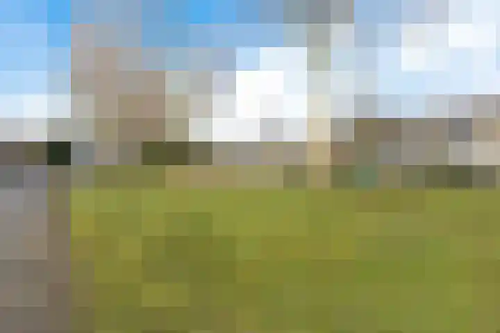 Zwaluwenveld 24 Emmen thumbnail 38