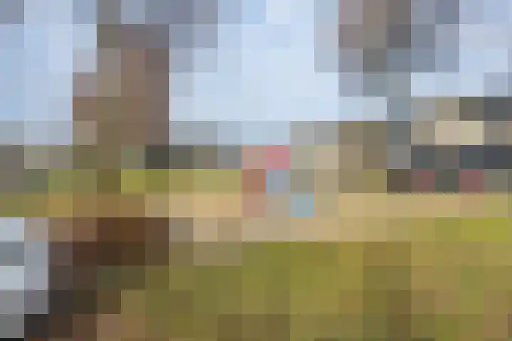 Zwaluwenveld 24 Emmen thumbnail 39