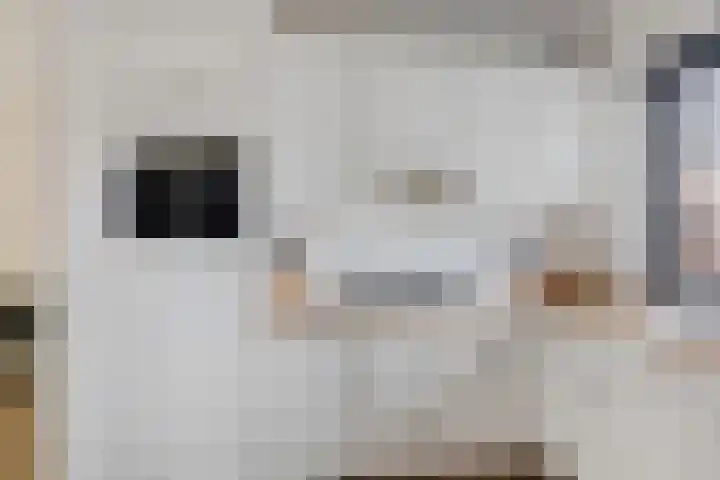Zwaluwenveld 24 Emmen thumbnail 4